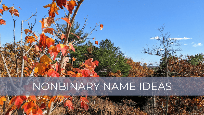 nonbinary name ideas