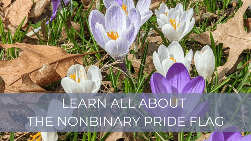 Learn all about the nonbinary pride flag