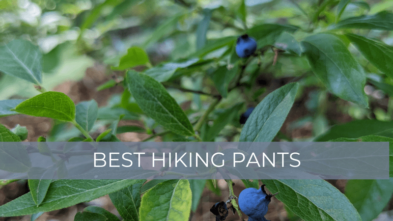 Best hiking pants