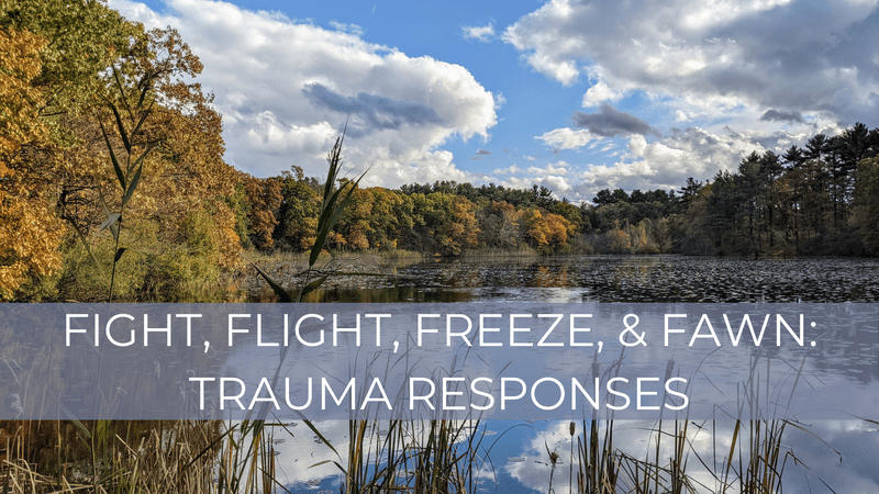 Fight, flight, freeze, and fawn: trauma responses