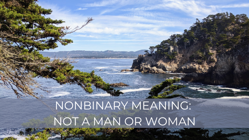 Nonbinary meaning: not a man or woman