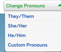Dropdown showing pronoun options: They/Them, She/Her, He/Him, or Custom Pronouns.